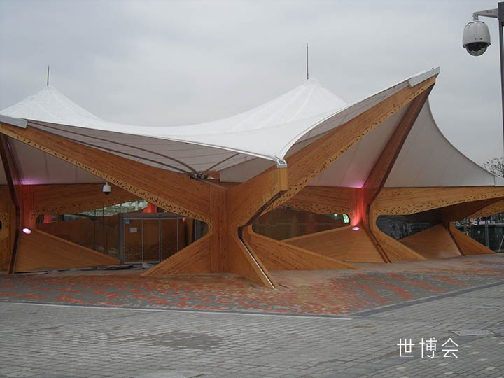 世博会.jpg